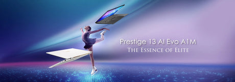 Business & Productivity Laptops Prestige Series